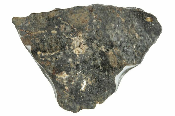 Lunar Meteorite ( g) Slice - Laayoune #291636